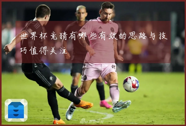世界杯竞猜有哪些有效的思路与技巧值得关注